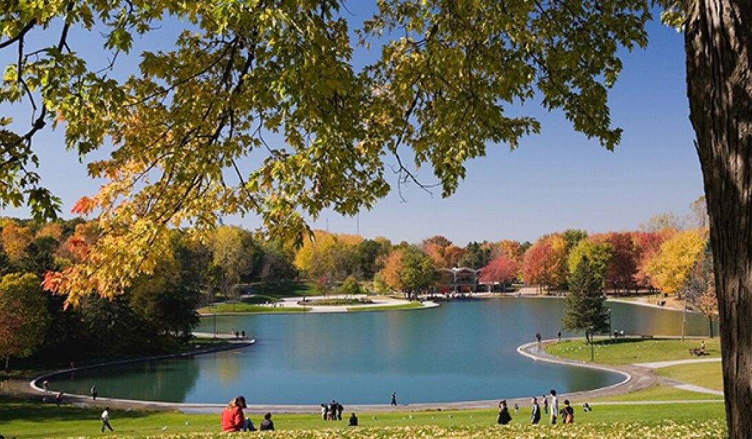 Luggage storage Mount Royal